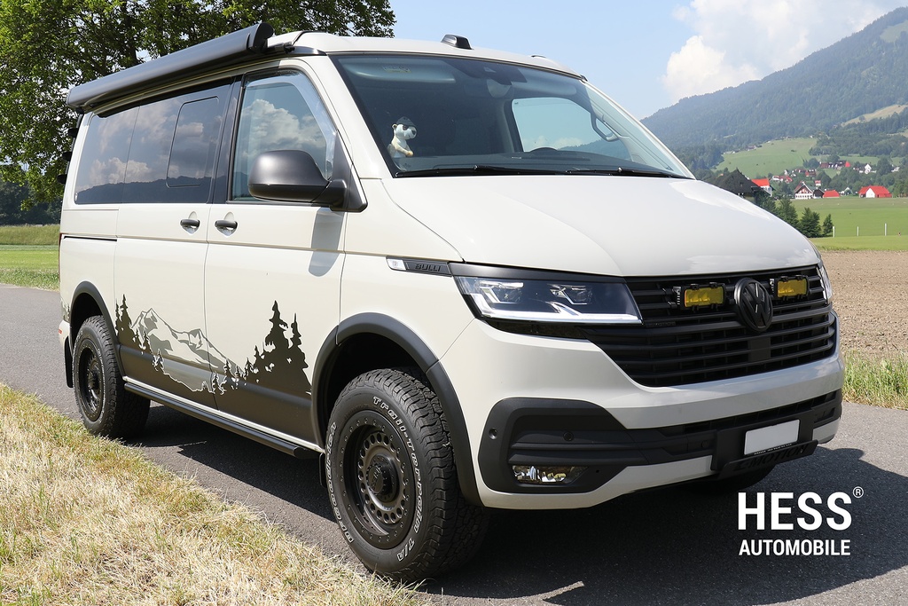 Windabweiser für VW T5/T6/T6.1