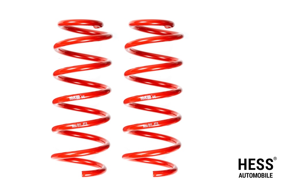 Auflastung VW T7 Transporter, Ford Custom – Achslast 2: 1950kg +650 kg