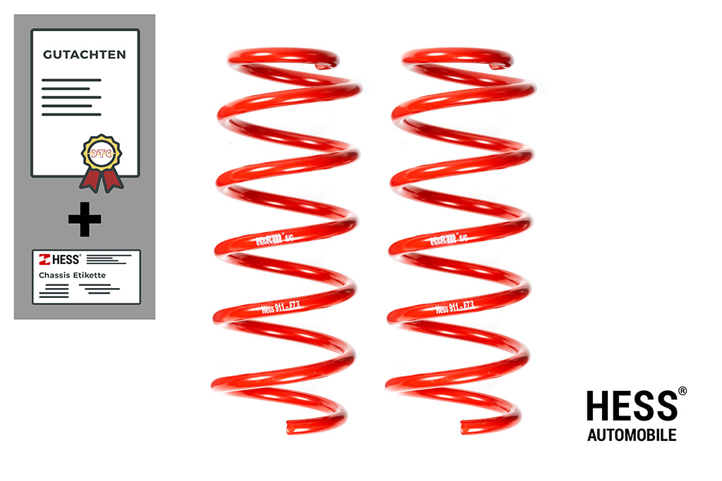 Auflastung VW T7 Transporter, VW T7 Transporter / Ford Custom (ab 2025) – Achse hinten: 1950kg +650 kg