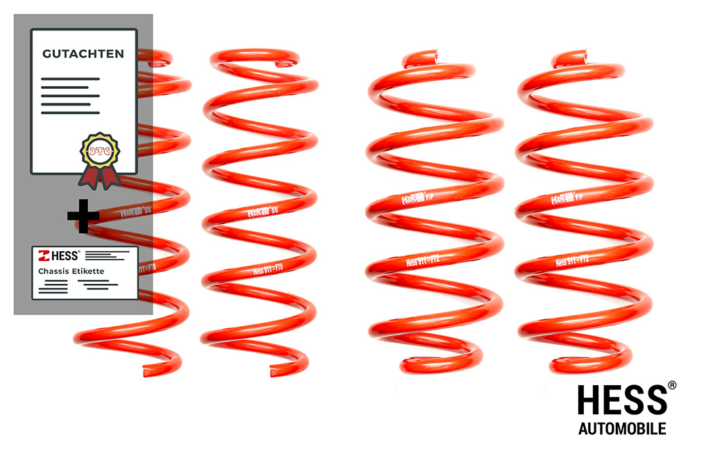 Auflastung VW T7 Transporter, Ford Custom – A1: 1'750 kg, A2: 1'950 kg