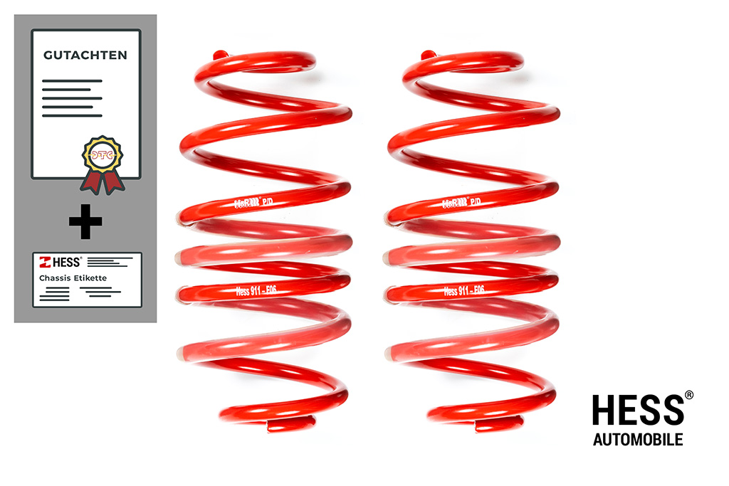 Auflastung Mercedes Viano/Vito/V-Klasse (W639/W447) – Achslast 2: 1'950 kg