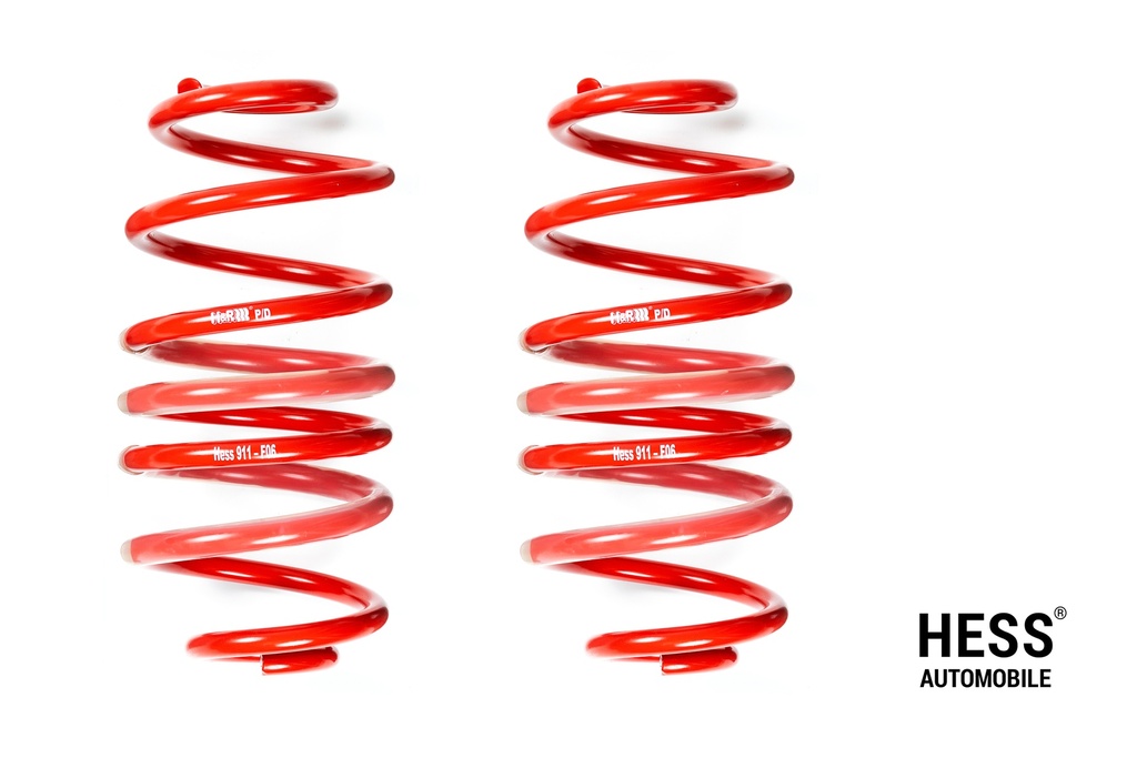 Federsatz für die Auflastung der Hinterachse +300kg des Mercedes Viano/Vito/V-Klasse