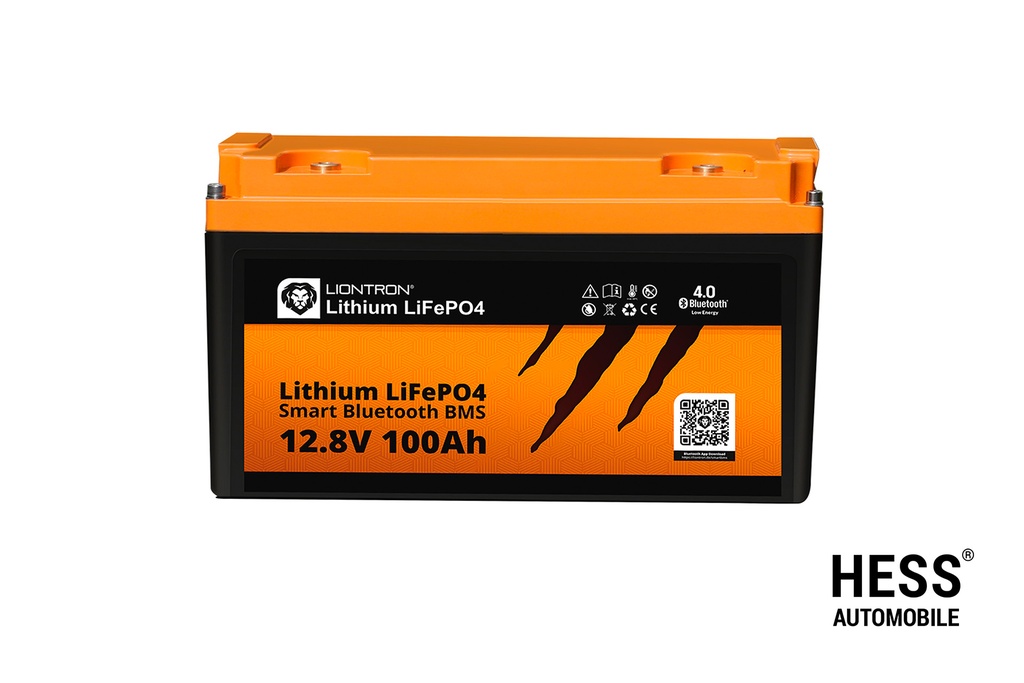 Liontron LX SMART 12-100